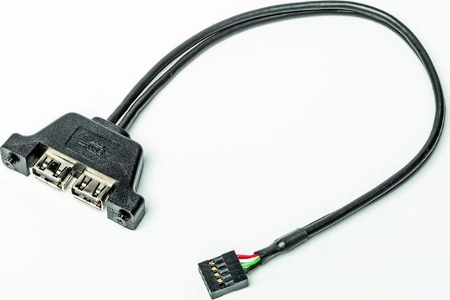 ASROCK Deskmini 2XUSB2.0 Cable